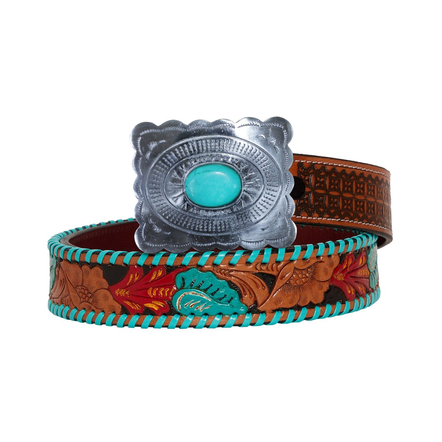 Tropical Forest Belt