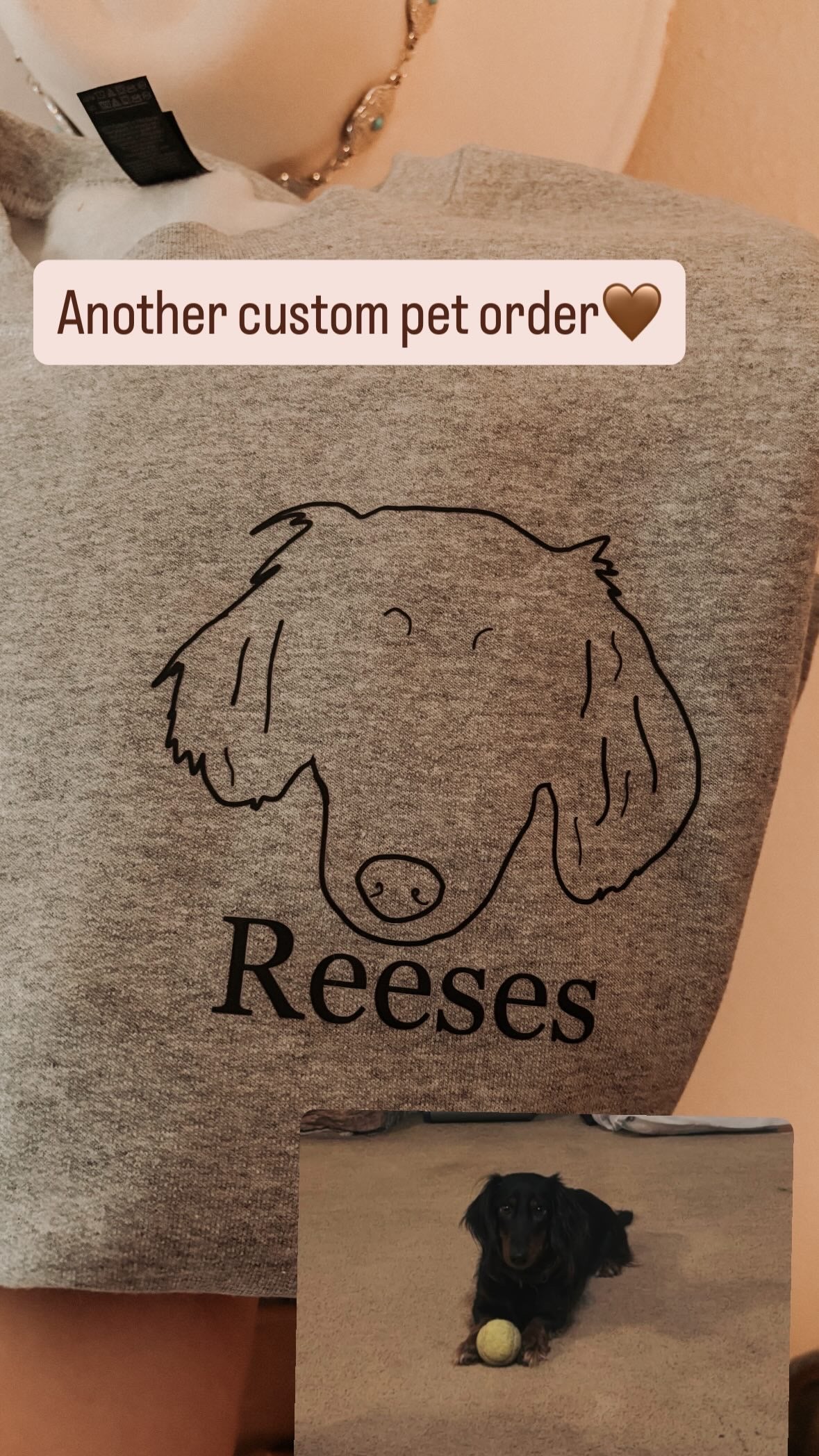 Custom Pet Crew